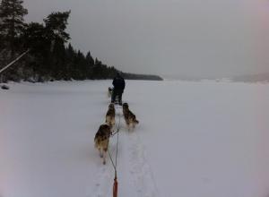 1545214_10202230028886635_1554199950_n